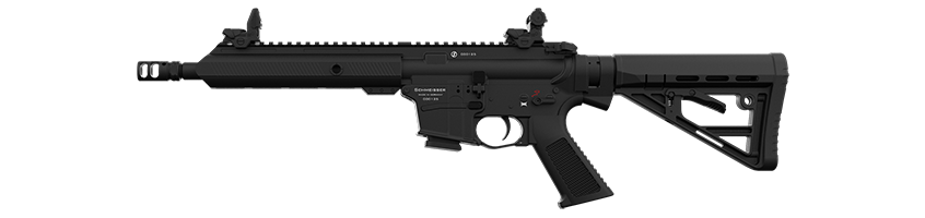 AR15-9-10-5-10-Li-small